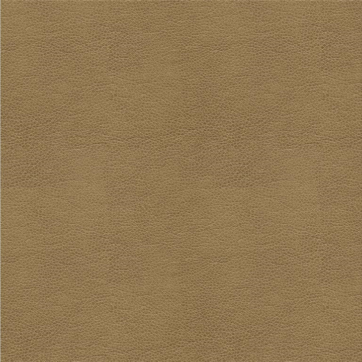 ALINA.106 by Kravet Smart Designer Fabric in our sample Polyurethane 100% China Heavy Horizontal: See Sample and Vertical: See Sample 55 inches - Swanky Fabrics -