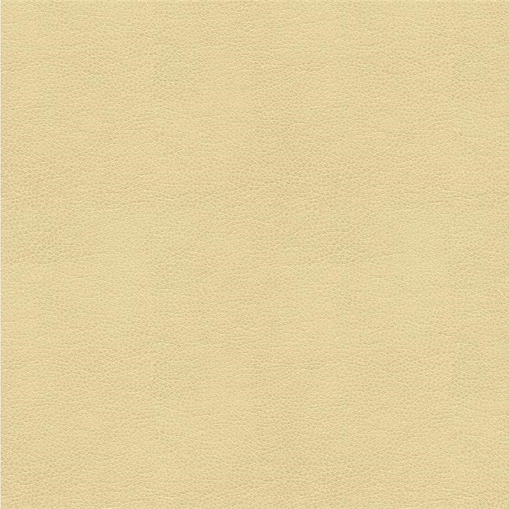 ALINA.116 by Kravet Smart Designer Fabric in our sample Polyurethane 100% China Heavy Horizontal: See Sample and Vertical: See Sample 55 inches - Swanky Fabrics -