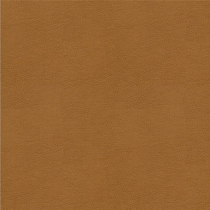 ALINA.16 by Kravet Smart Designer Fabric in our sample Polyurethane 100% China Heavy Horizontal: See Sample and Vertical: See Sample 55 inches - Swanky Fabrics -
