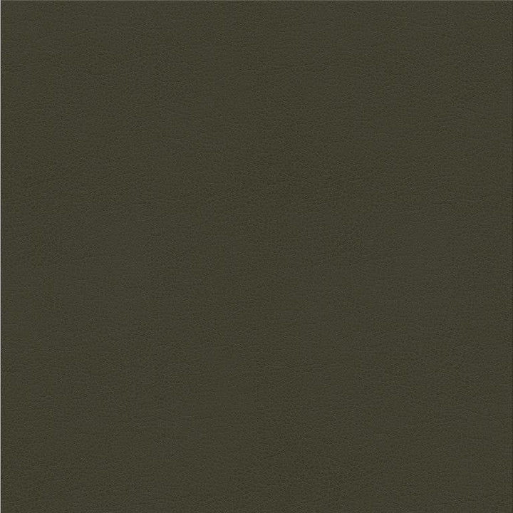 ALINA.21 by Kravet Smart Designer Fabric in our sample Polyurethane 100% China Heavy Horizontal: See Sample and Vertical: See Sample 55 inches - Swanky Fabrics -