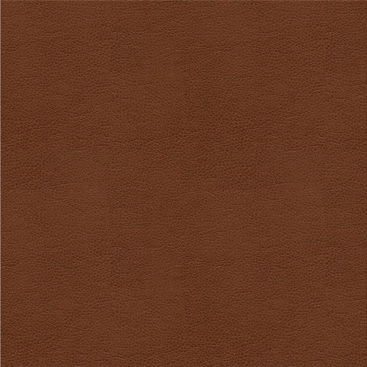 ALINA.6 by Kravet Smart Designer Fabric in our sample Polyurethane 100% China Heavy Horizontal: See Sample and Vertical: See Sample 55 inches - Swanky Fabrics -