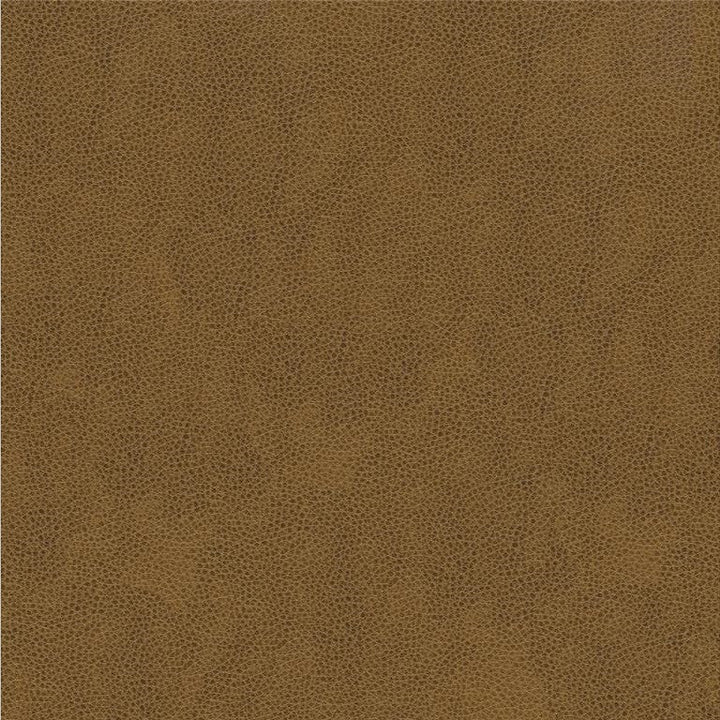 ALINA.616 by Kravet Smart Designer Fabric our website for purchase 100% Leather China Heavy Horizontal: see sample and Vertical: see sample 55 inches - Swanky Fabrics -