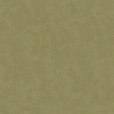 Kravet Smart Alina-1121 by Kravet Smart Fabric