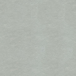 Alina-11 by Kravet Smart Fabric