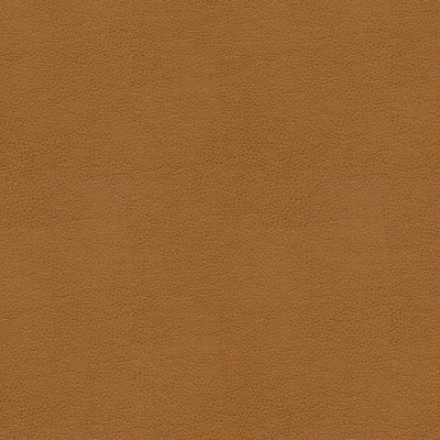 Kravet Smart Alina-16 by Kravet Smart Fabric