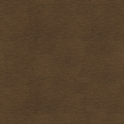 Kravet Smart Alina-2121 by Kravet Smart Fabric