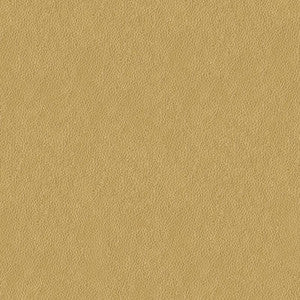 Alina-4 by Kravet Smart Fabric