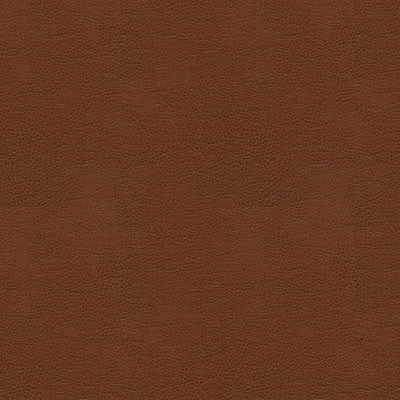 Kravet Smart Alina-6 by Kravet Smart Fabric