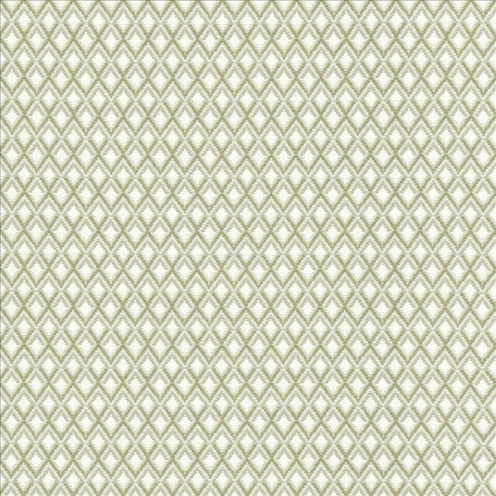 Altitude Sterling by Kasmir Fabric 5123 55% Polyester 45% Cotton CHINA 51,000 Wyzenbeek Double Rubs Horizontal: 6/8 inches and Vertical: 1 2/8 inches 54 - Fabric Carolina -