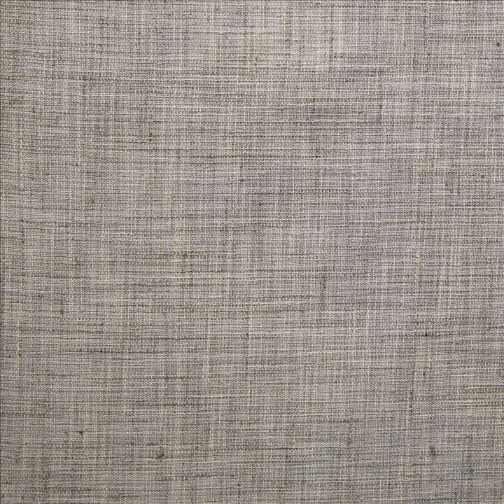 Alton Cloud  by Kasmir Fabric 1479 100% Polyester  INDIA  </p><p>Repeat: Horizontal: N/A and Vertical: N/A 55  - Fabric Carolina -
