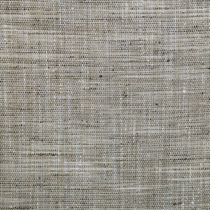 Alton Granite  by Kasmir Fabric 1479 100% Polyester  INDIA  </p><p>Repeat: Horizontal: N/A and Vertical: N/A 55  - Fabric Carolina -