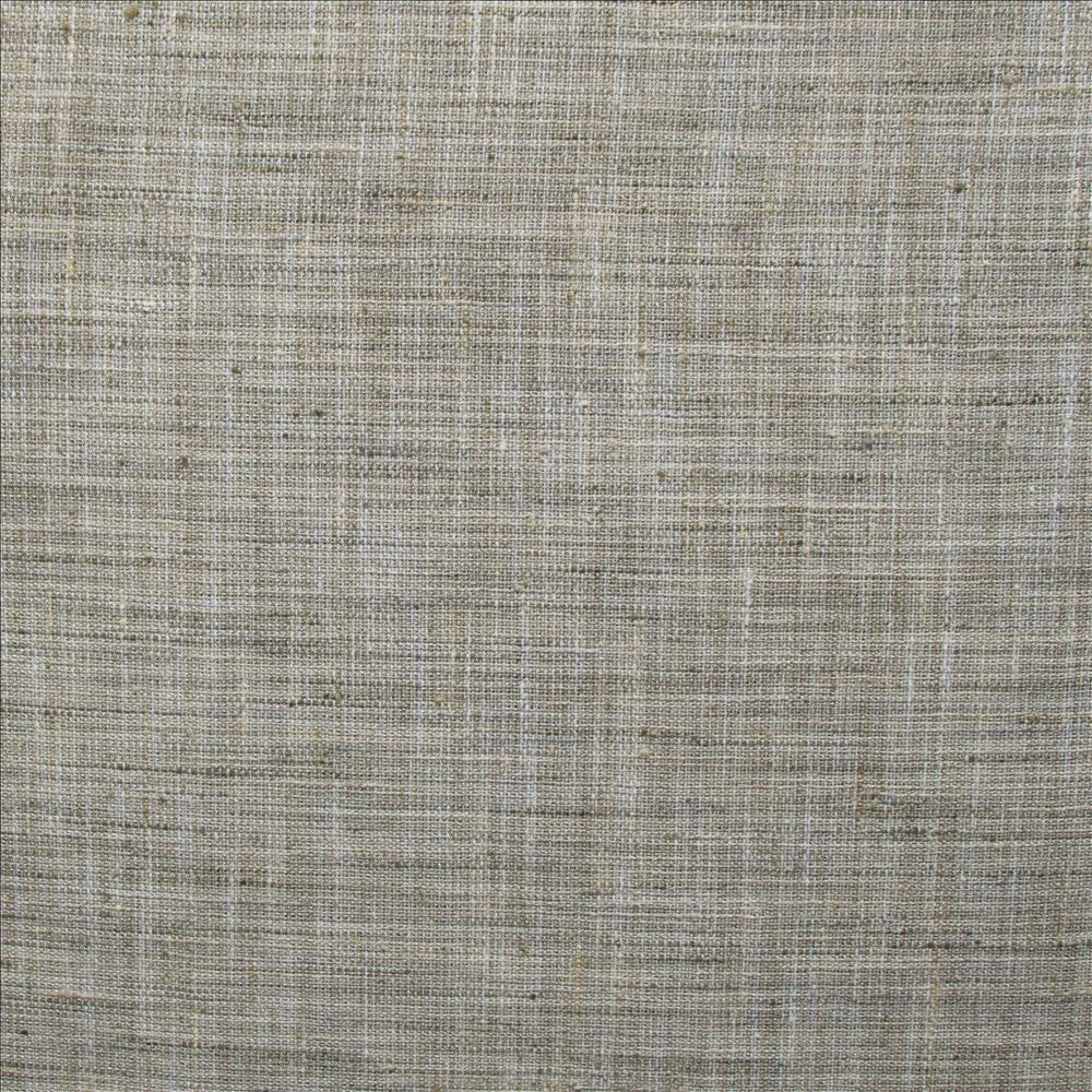 Alton Twig  by Kasmir Fabric 1479 100% Polyester  INDIA  </p><p>Repeat: Horizontal: N/A and Vertical: N/A 55  - Fabric Carolina -
