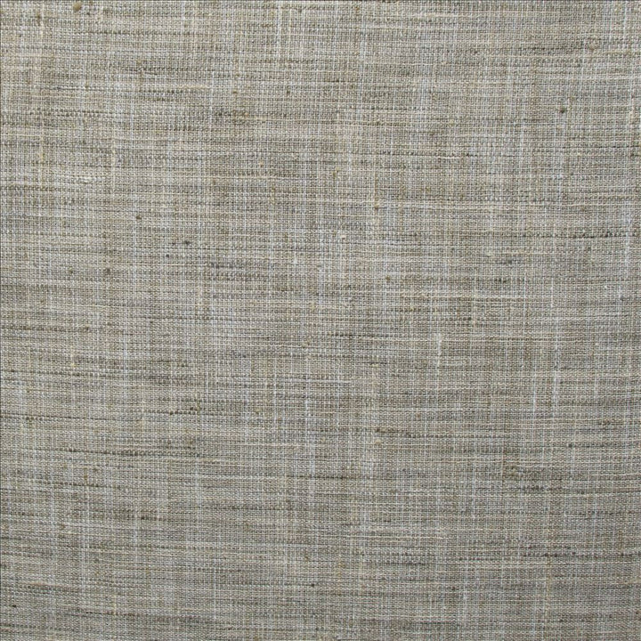 Alton Twig  by Kasmir Fabric 1479 100% Polyester  INDIA  </p><p>Repeat: Horizontal: N/A and Vertical: N/A 55  - Fabric Carolina -