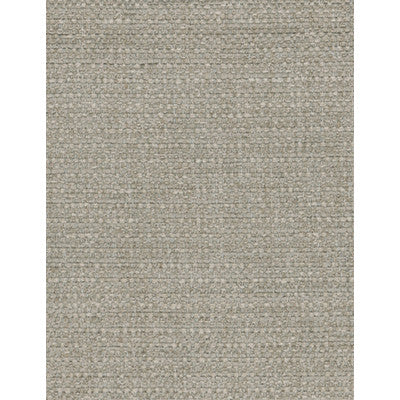Cocoon Taupe by Kravet Couture Fabric