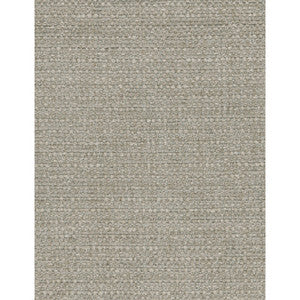 Cocoon Taupe by Kravet Couture Fabric