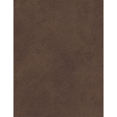 Diego Chocolate by Kravet Couture Fabric