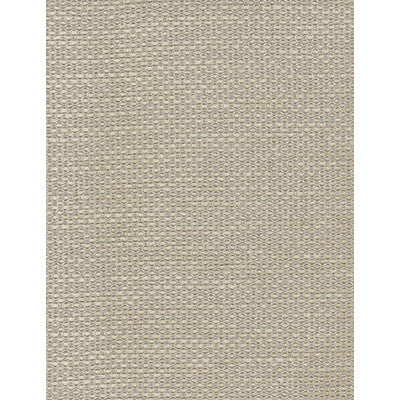 Ricci Natural by Kravet Couture Fabric