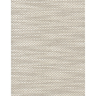 Ricci Ivory by Kravet Couture Fabric