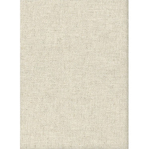 Noah Plain Linen by Kravet Couture Fabric