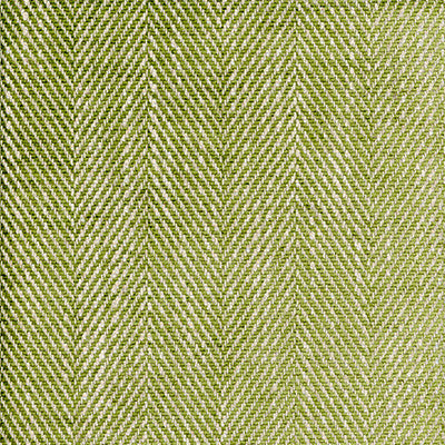 Summit Palm by Kravet Couture Fabric