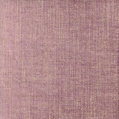 Palazzo Fig by Kravet Couture Fabric