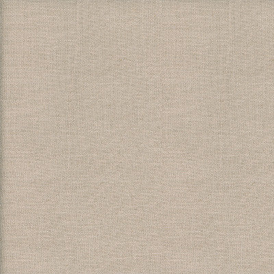 Trek Canvas by Kravet Couture Fabric