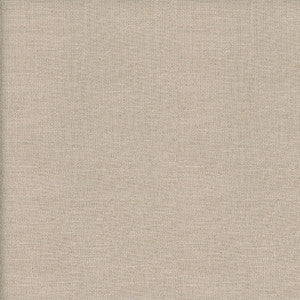 Trek Canvas by Kravet Couture Fabric