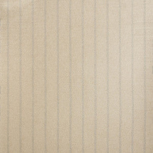Nile Powder by Kravet Couture Fabric