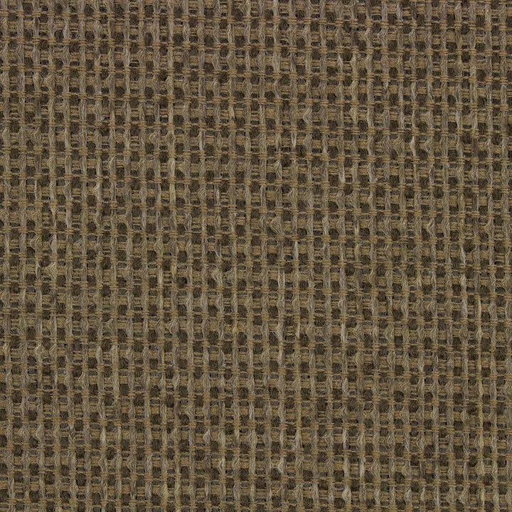 Amaris Mocha Richloom