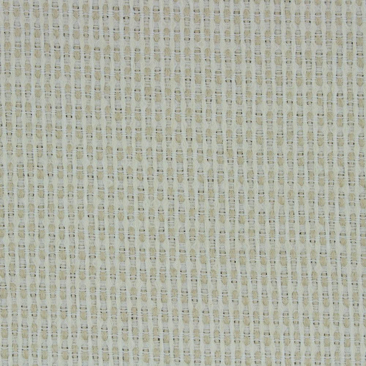 Amaris Snow Richloom