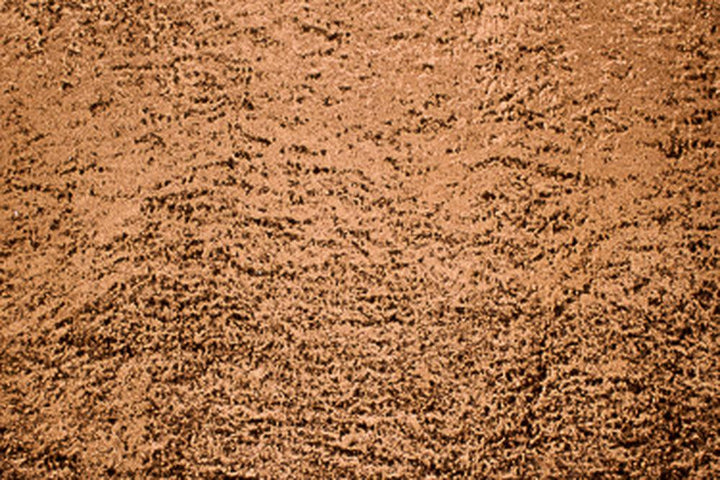Amaron Nutmeg Richloom
