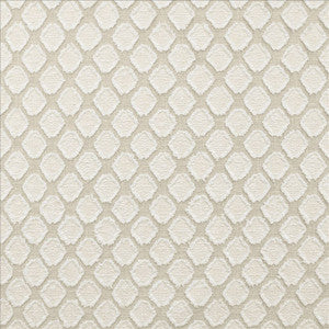 Amberlyn Natural by Kasmir Fabric