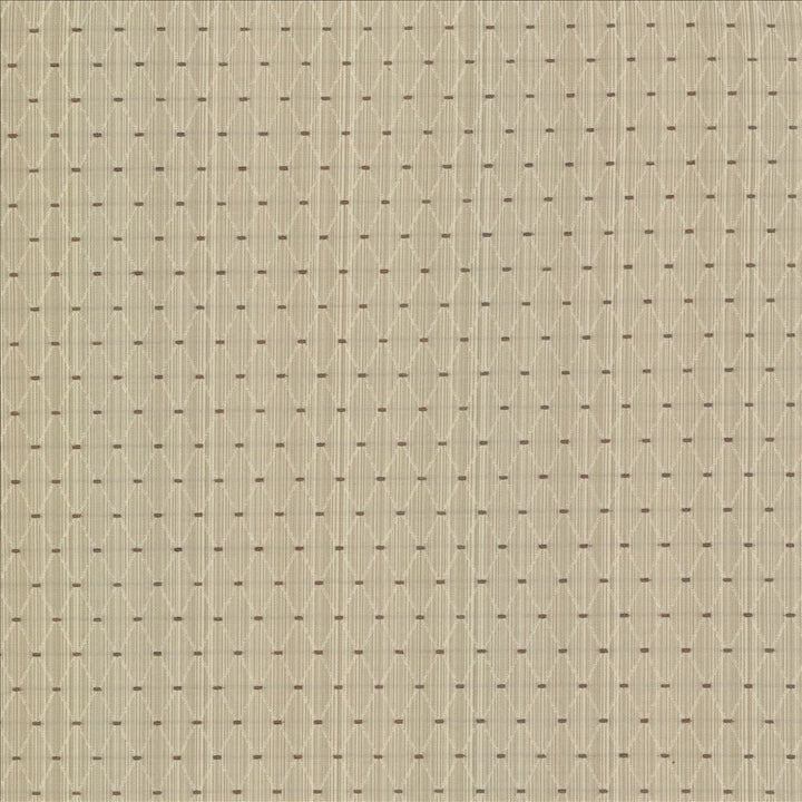 Amberlyn Trellis Natural by Kasmir Fabric 8000 55% Polyester
45% Rayon
 CHINA </p><p>Repeat: Horizontal: 1 inches and Vertical: 1 2/8 inches 54 - 56 - Fabric Carolina -