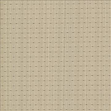 Amberlyn Trellis Natural by Kasmir Fabric 8000 55% Polyester 45% Rayon CHINA 30,000 Wyzenbeek Double Rubs H: 1 inches, V: 1 2/8 inches 54 - 56 - Fabric Carolina - Kasmir