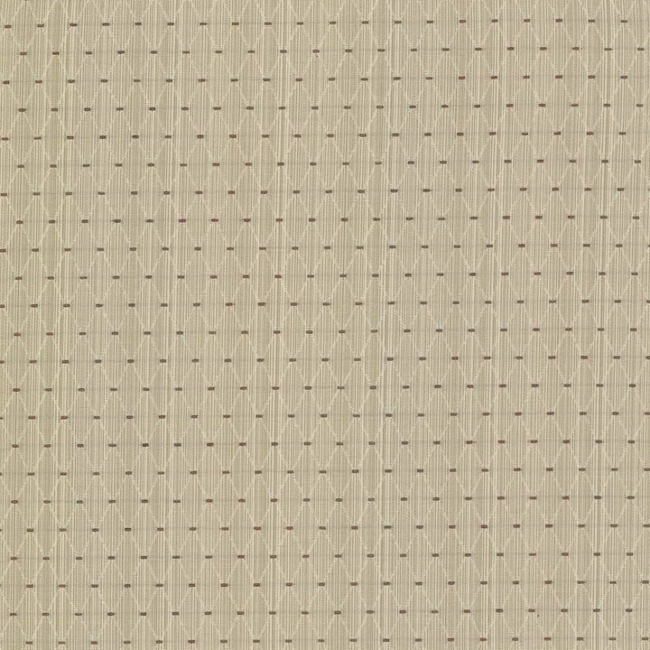 Amberlyn Trellis Natural by Kasmir Fabric 8000 55% Polyester 45% Rayon CHINA 30,000 Wyzenbeek Double Rubs H: 1 inches, V:1 2/8 inches 54 - 56 - Fabric Carolina - Kasmir