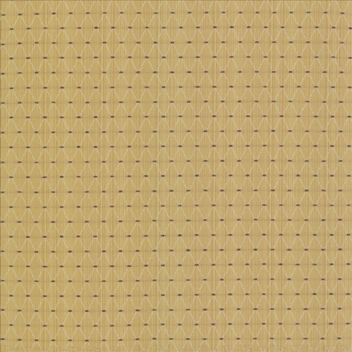 Amberlyn Trellis Sunshine by Kasmir Fabric 8000 55% Polyester
45% Rayon
 CHINA 30,000 Wyzenbeek Double Rubs </p><p>Repeat: Horizontal: 1 inches and Vertical: 1 2/8 inches 54 - Fabric Carolina -