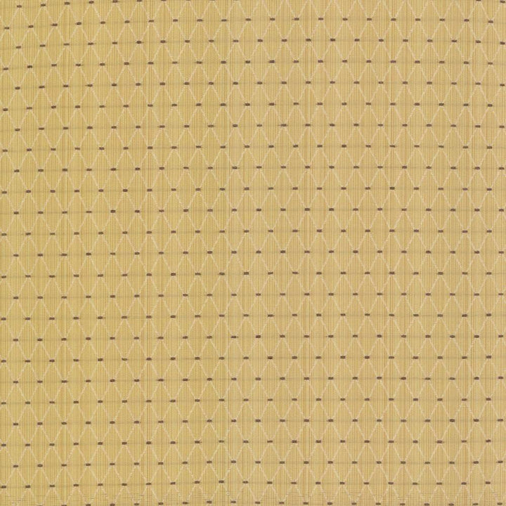 Amberlyn Trellis Sunshine by Kasmir Fabric 8000 55% Polyester 45% Rayon CHINA 30,000 Wyzenbeek Double Rubs H: 1 inches, V:1 2/8 inches 54 - 56 - Fabric Carolina - Kasmir