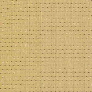 Amberlyn Trellis Sunshine by Kasmir Fabric