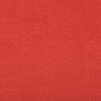 Ames Fiesta by Kravet Contract Fabric