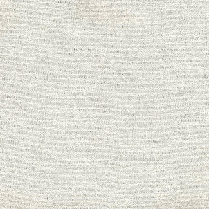 Amoroso Natural by Kasmir Fabric 8003 70% Polyester 30% Viscose CHINA 30,000 Wyzenbeek Double Rubs H: N/A, V:N/A 54 - 56 - Fabric Carolina - Kasmir