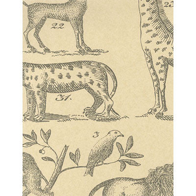Ark Parchment by Kravet Couture Wallcovering