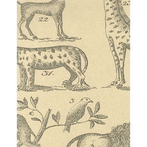 Ark Parchment by Kravet Couture Wallcovering
