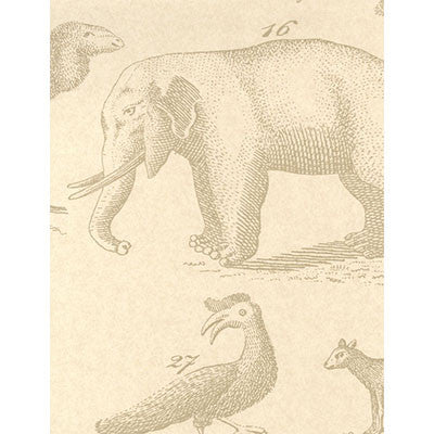 Ark Sand by Kravet Couture Wallcovering