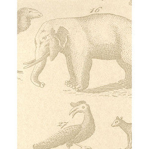 Ark Sand by Kravet Couture Wallcovering