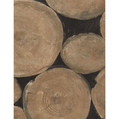 Luggage Leather by Kravet Couture Wallcovering