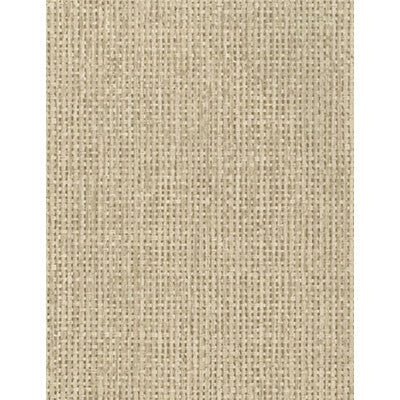 Raffia Taupe by Kravet Couture Wallcovering