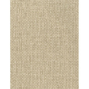 Raffia Taupe by Kravet Couture Wallcovering