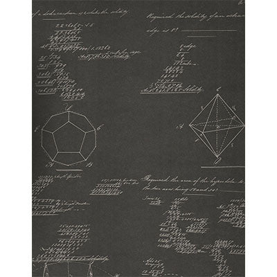 Pythagoras Charcoal by Kravet Couture Wallcovering
