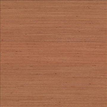 Anantara Burnt Orange by Kasmir Fabric 5059 100% Polyester INDIA 30,000 Wyzenbeek Double Rubs H: N/A, V: N/A 55 - 56 - Fabric Carolina - Kasmir