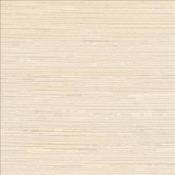 Anantara Champagne by Kasmir Fabric 5059 100% Polyester INDIA 30,000 Wyzenbeek Double Rubs H: N/A, V: N/A 55 - 56 - Fabric Carolina - Kasmir